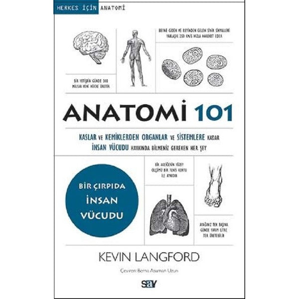 Anatomi 101-Bir Çırpıda İnsan Vücud | Say Yayınları