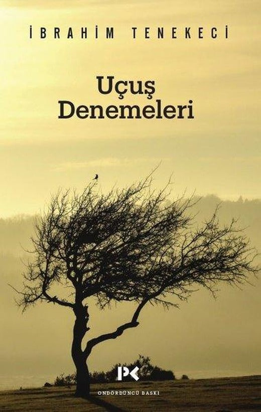 Uçuş Denemeleri | Profil Kitap (İnce Kapak)