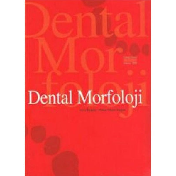 Dental Morfoloji