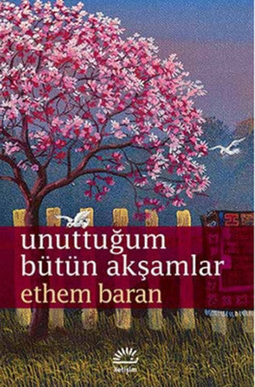 Unuttuğum Bütün Akşamlar | İletişim Yayınları