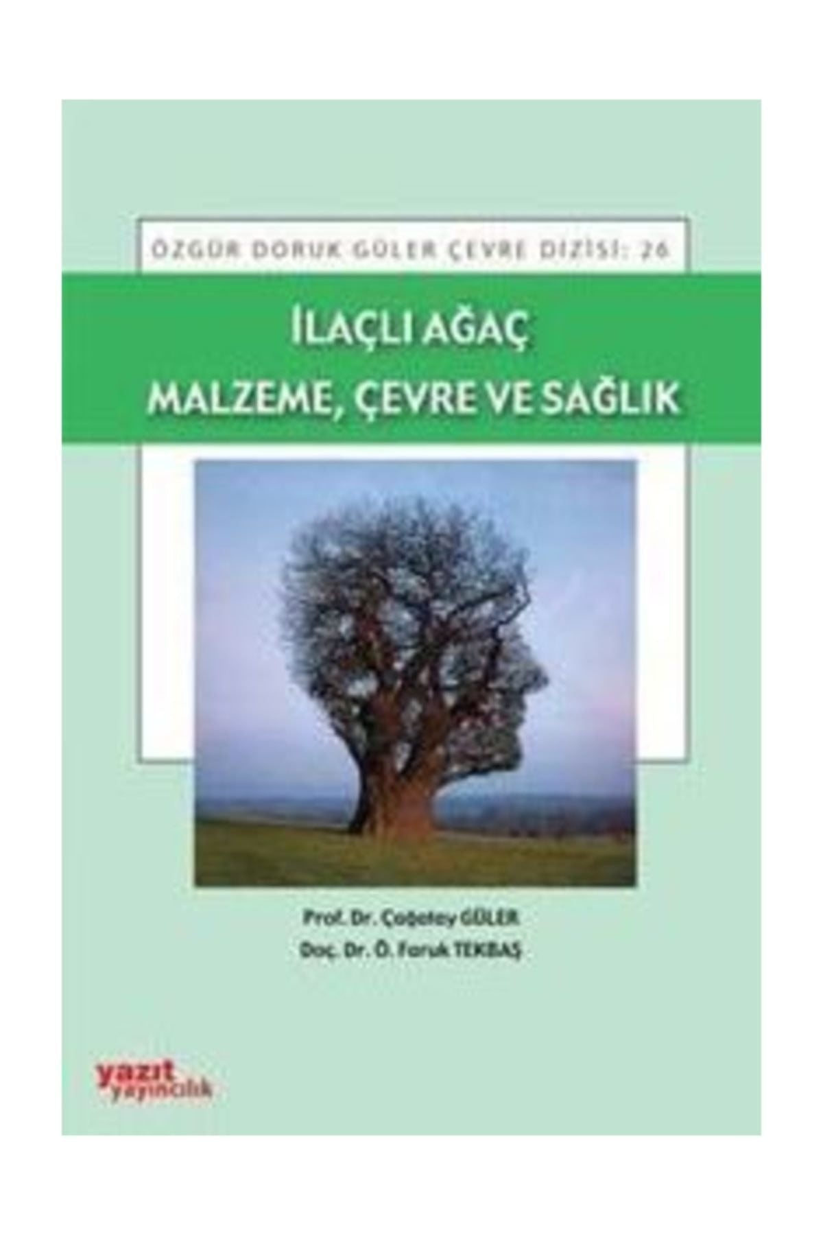 İlaçlı Ağaç Malzeme, Çevre ve Sağlık | Yazıt Yayıncılık (Ciltsiz)