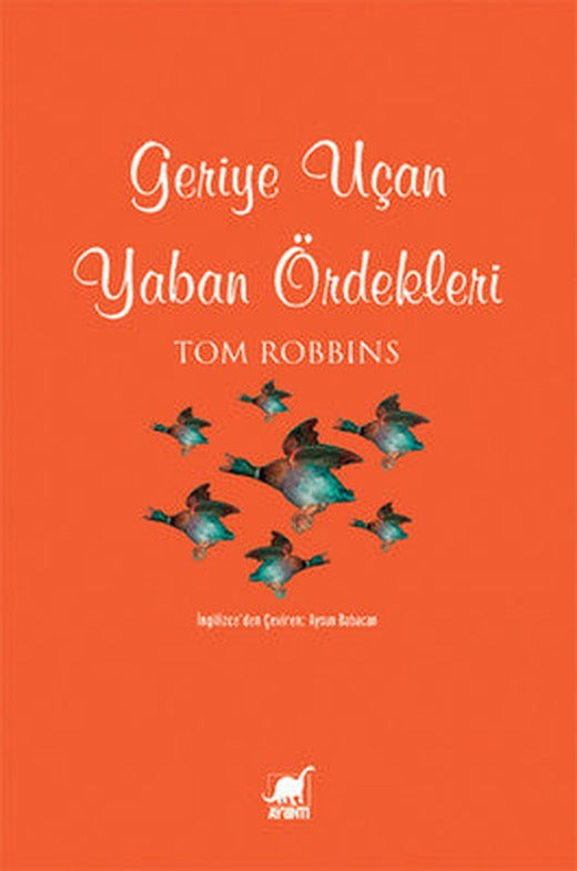Geriye Uçan Yaban Ördekleri | Ayrıntı Yayınları