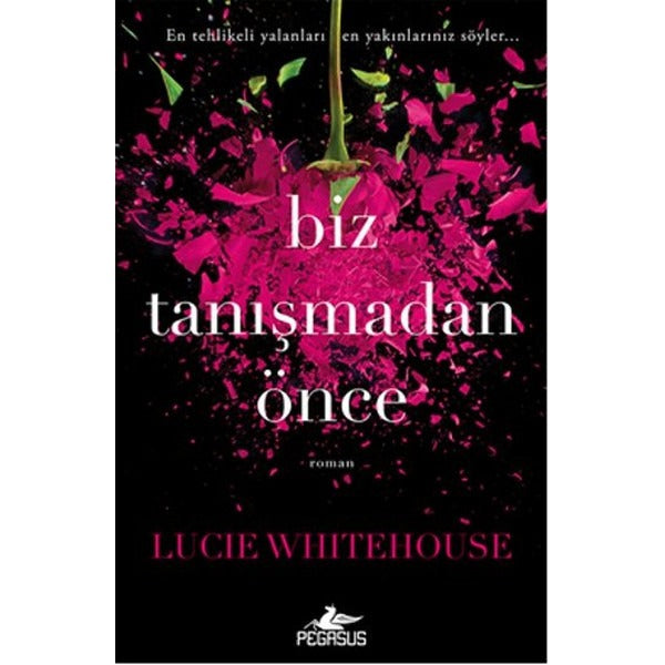 Biz Tanışmadan Önce