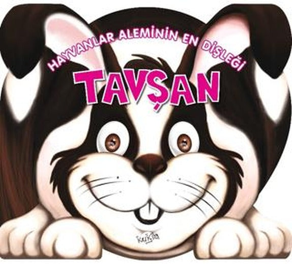 Hayvanlar Aleminin En Dişleği : Tavşan | Kukla Yayınları (Ciltsiz)
