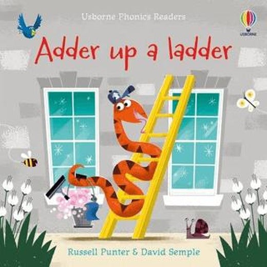 Adder Up A Ladder | Usborne (Ciltsiz)
