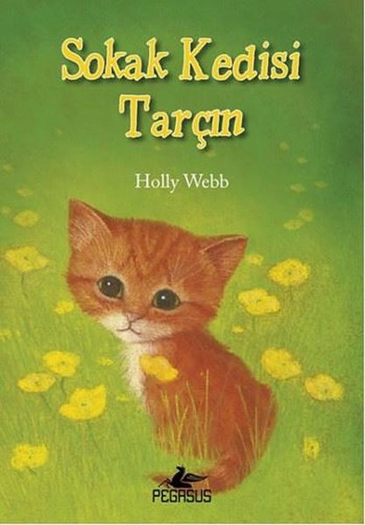 Sokak Kedisi Tarçın | Pegasus (İnce Kapak)