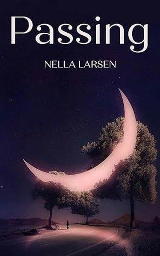 Passing | Penguin Books Ltd (İnce Kapak)