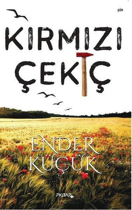 Kırmızı Çekiç | P Kitap Yayıncılık (İnce Kapak)