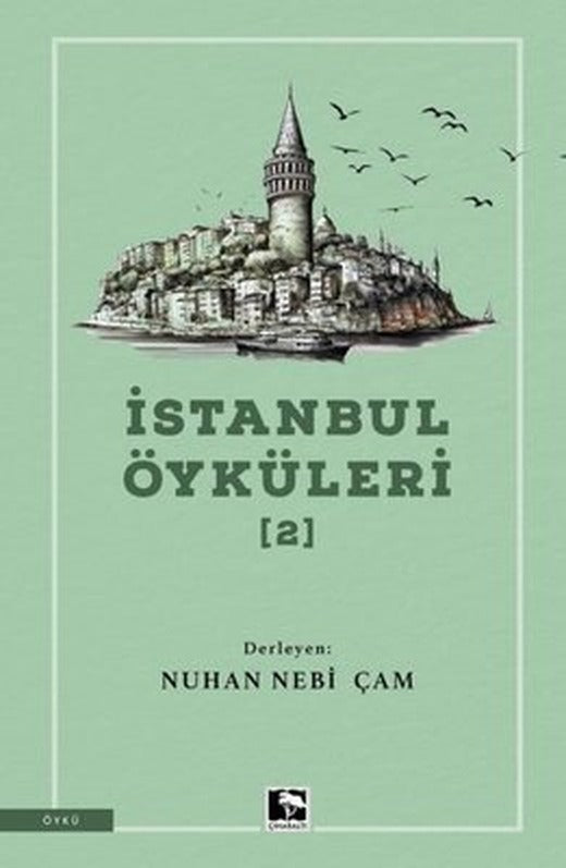 İstanbul Öyküleri 2 | Çınaraltı Yayınları (İnce Kapak)