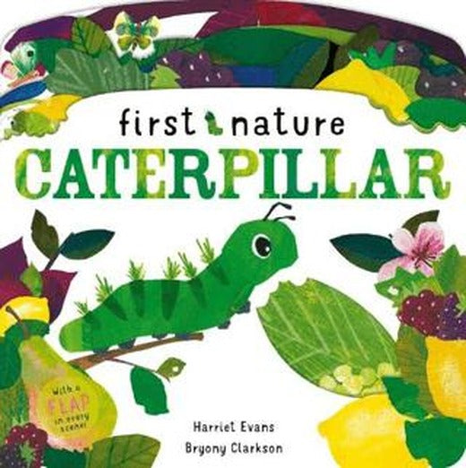 Caterpillar | Little Tiger Group (Ciltli)