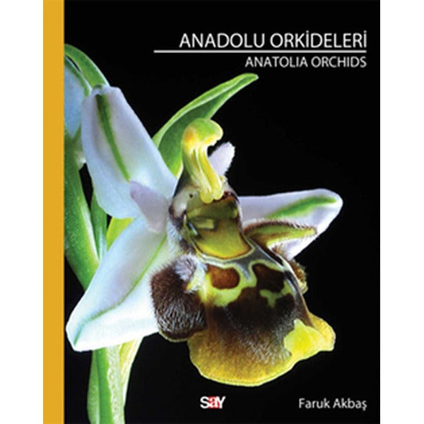 Anadolu Orkideleri | Say Yayınları