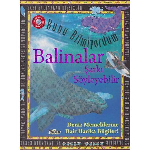 Bunu Bilmiyordum - Balinalar Şarkı Söyleyebilir