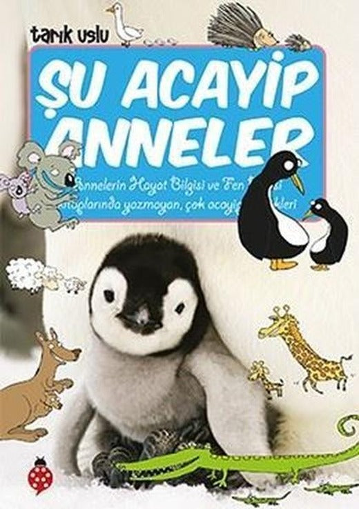 Şu Acayip Anneler | Uğurböceği (e-Kitap)