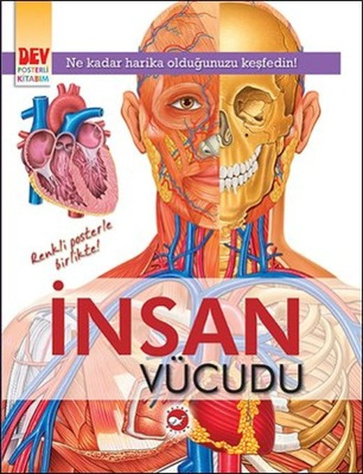 İnsan Vücudu | Beyaz Balina Yayınları