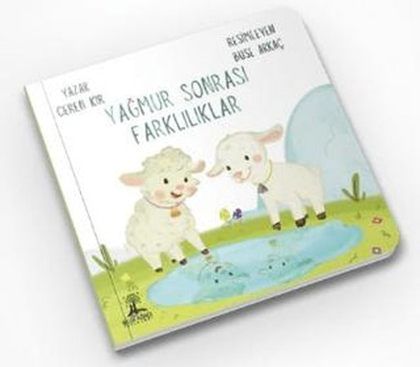Yağmur Sonrası Farklılıklar | Bilgi Ağacı Yayınları (Ciltsiz)