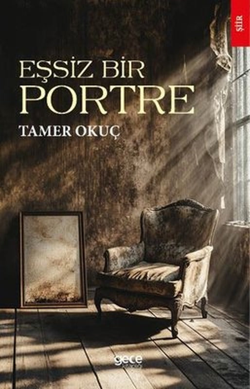 Eşsiz Bir Portre | Gece Kitaplığı (İnce Kapak)