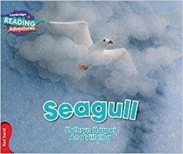 Seagull | Cambridge Yayınları (Ciltsiz)