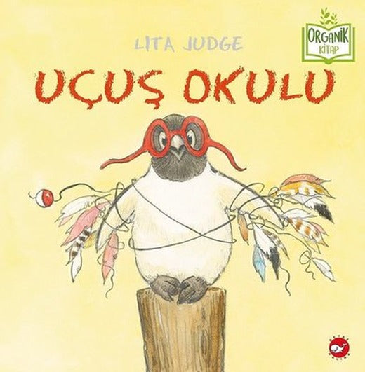 Uçuş Okulu | Beyaz Balina Yayınları