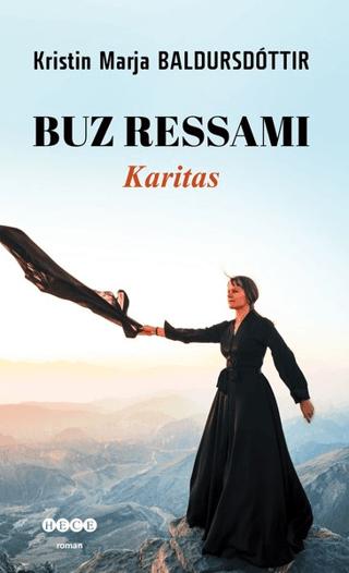 Buz Ressamı | Hece Yayınları (Ciltsiz) - Resim 1