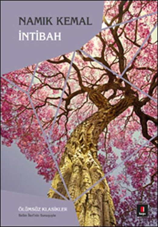 İntibah | Kapı Yayınları - Roman Dizisi (İnce Kapak)