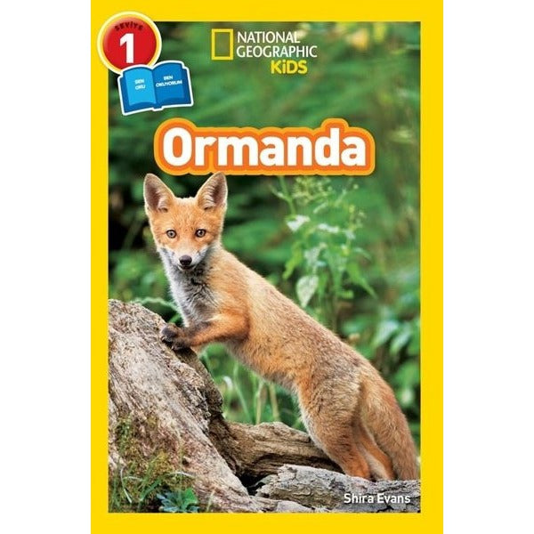 National Geographic Kids - Ormanda - Seviye 1 | Beta Kids (İnce Kapak)
