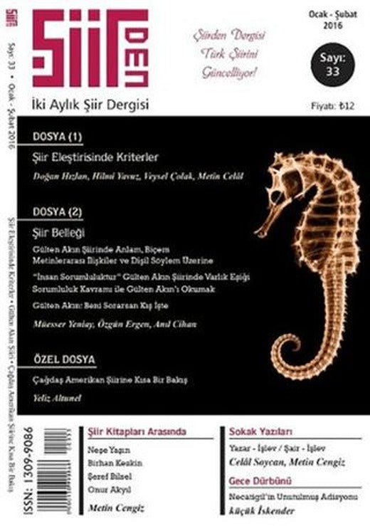 Şiirden İki Aylık Şiir Dergisi Sayı: 33 Ocak-Şubat 2016 | Şiirden Yayıncılık (Ciltsiz)