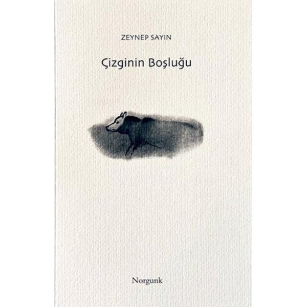 Çizginin Boşluğu | Norgunk Yayıncılık (İnce Kapak )