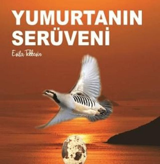 Yumurtanın Serüveni | Kitap72 Yayınları (Ciltsiz)