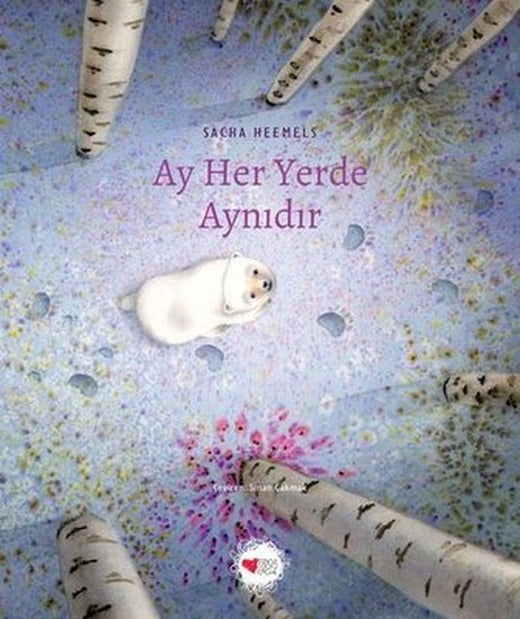 Ay Her Yerde Aynıdır | Can Çocuk Yayınları (İnce Kapak)