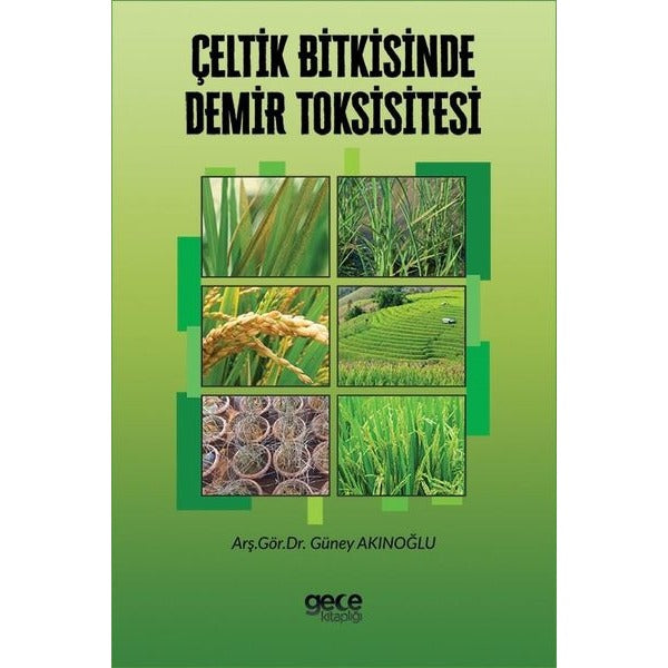 Çeltik Bitkisinde Demir Toksisitesi | Gece Kitaplığı