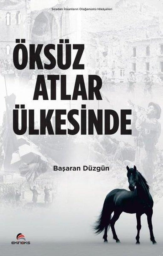 Öksüz Atlar Ülkesinde | Ekinoks (İnce Kapak)