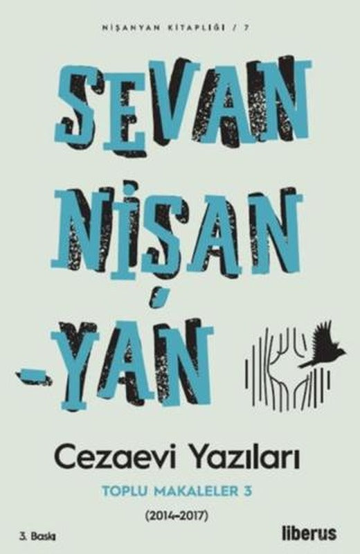 Cezaevi Yazıları
