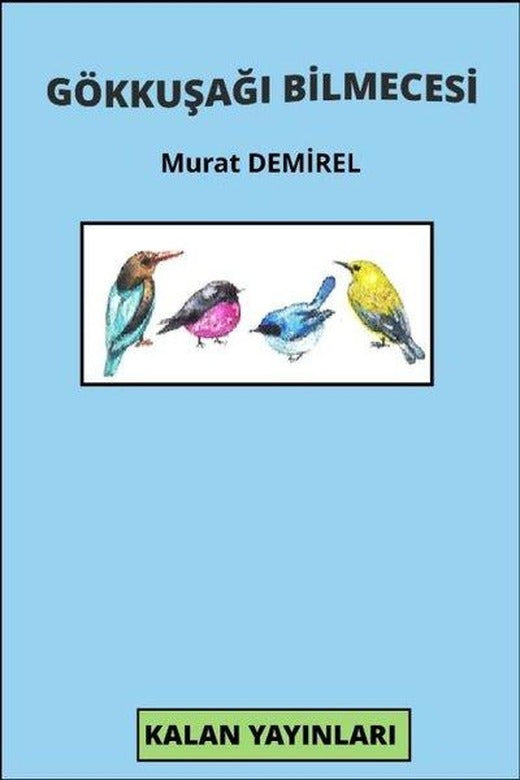 Gökkuşağı Bilmecesi