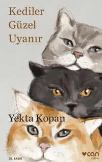 Kediler Güzel Uyanır | Can Yayınları