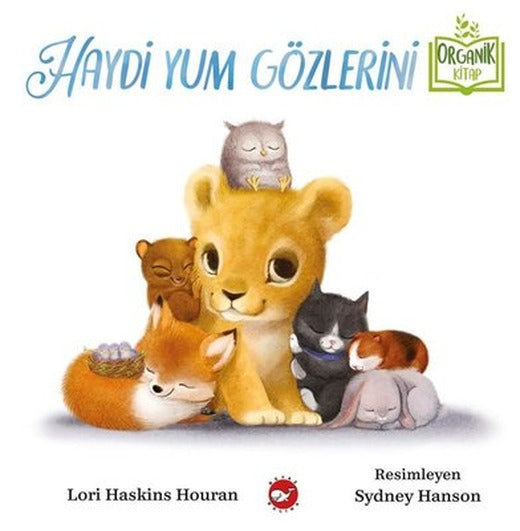 Haydi Yum Gözlerini | Beyaz Balina Yayınları