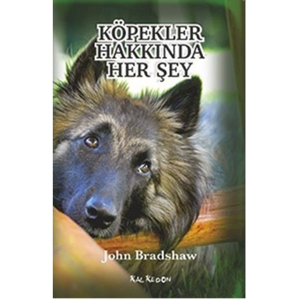 Köpekler Hakkında Her Şey | Kalkedon
