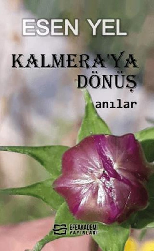 Kalmera'ya Dönüş