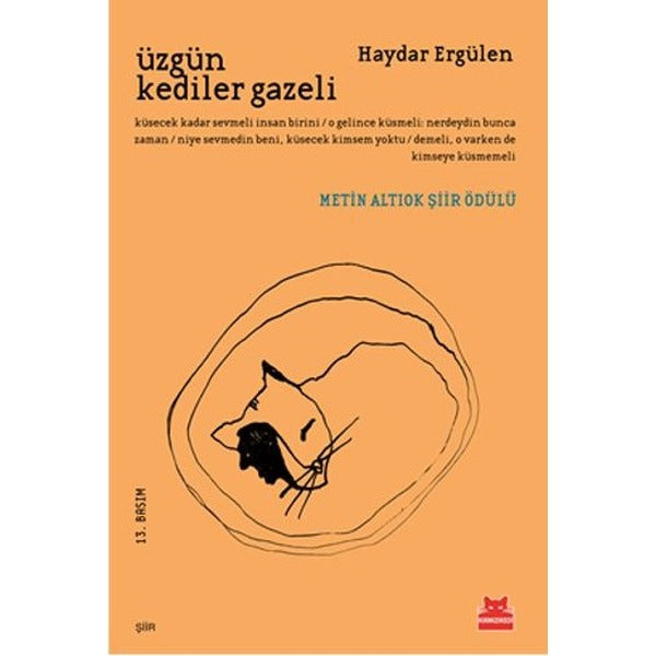 Üzgün Kediler Gazeli | Kırmızı Kedi (e-Kitap)