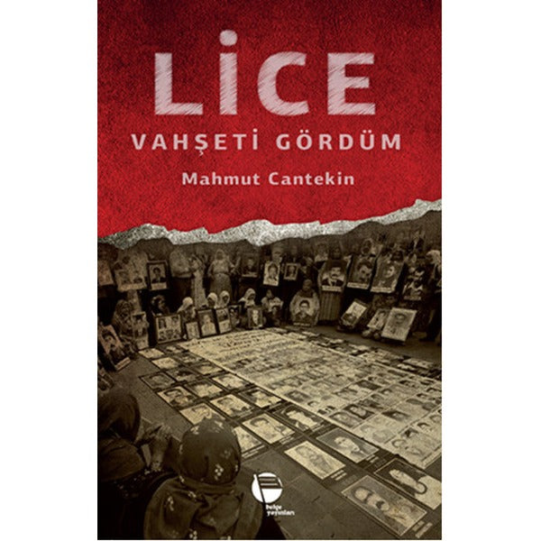 Lice