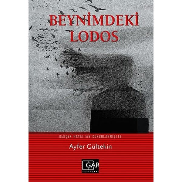 Beynimdeki Lodos
