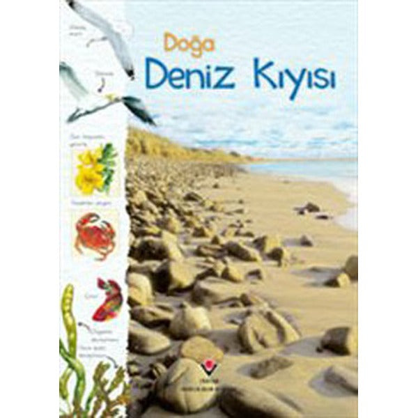 Doğa - Deniz Kıyısı | Tübitak Yayınları - Popüler Bilim Kitapları (İnce Kapak)