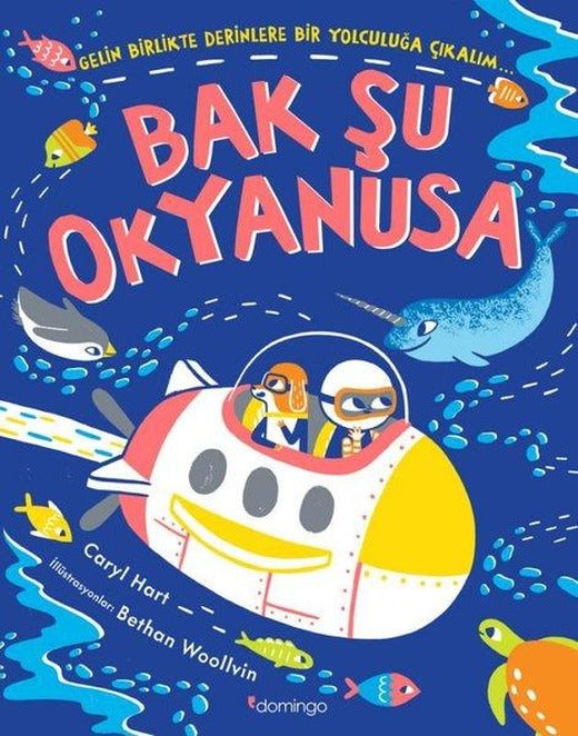 Bak Şu Okyanusa | Domingo Yayınevi (İnce Kapak)
