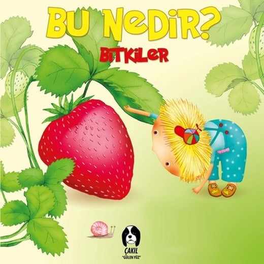 Bu Nedir?-Bitkiler | Çakıl