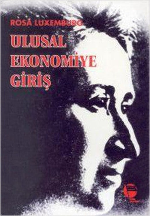Ulusal Ekonomiye Giriş | Belge Yayınları