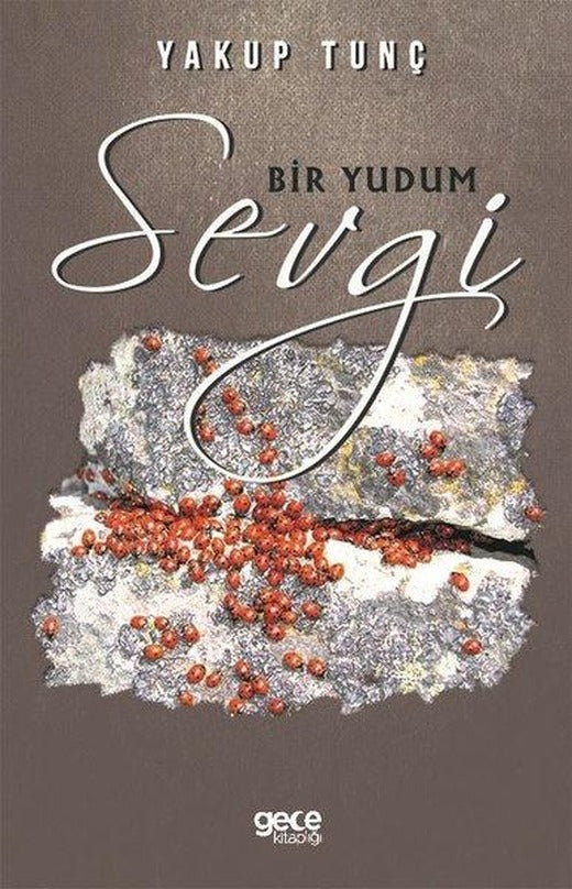 Bir Yudum Sevgi | Gece Kitaplığı (İnce Kapak)
