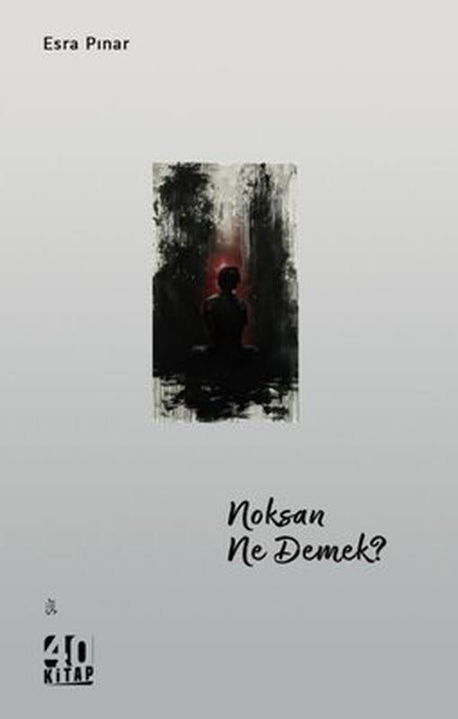 Noksan Ne Demek? | 40 Kitap (İnce Kapak)