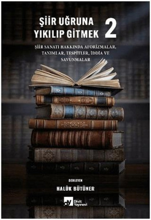 Şiir Uğruna Yıkılıp Gitmek 2