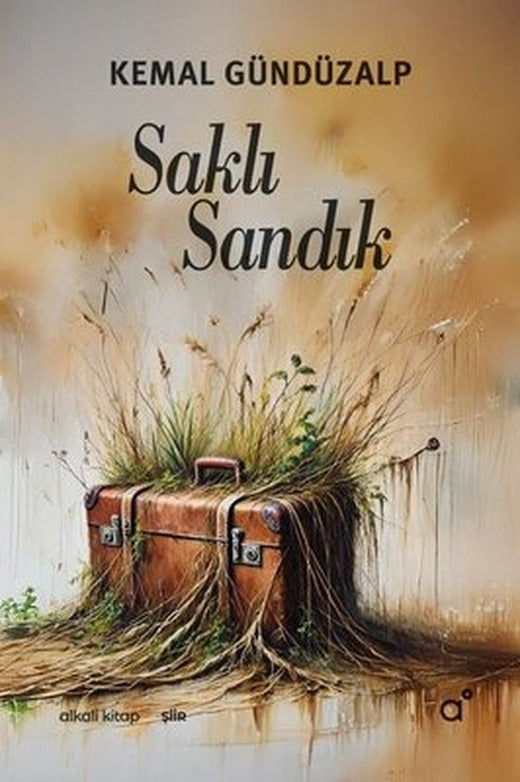 Saklı Sandık | Alkali Kitap (İnce Kapak )