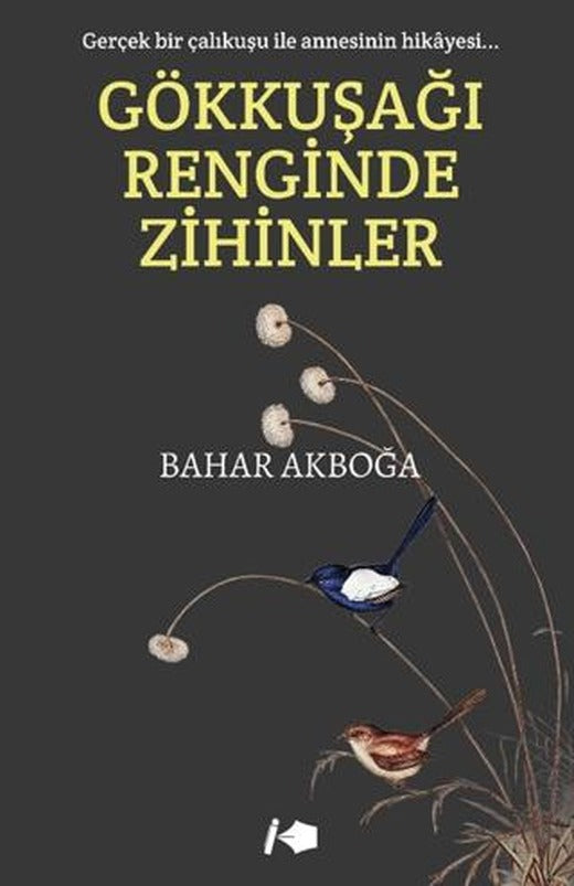 Gökkuşağı Renginde Zihinler | Kalemşor Yayınları (Ciltsiz)