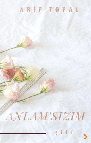 Anlamsızım